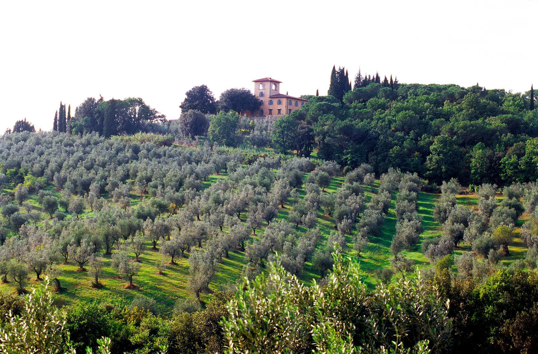 Poggio Imperiale The best rental Villas in Tuscany